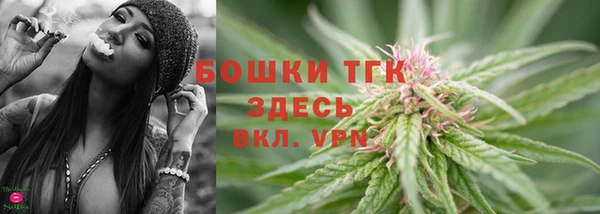 гашик Горно-Алтайск