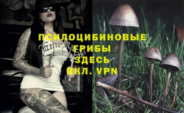 гашик Горно-Алтайск