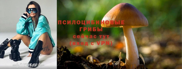 mix Горнозаводск