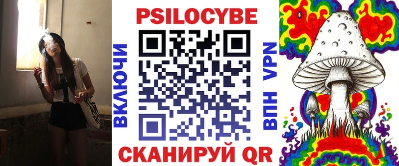 Псилоцибиновые грибы Psilocybine cubensis Новодвинск
